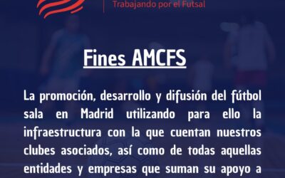 Nuestro fin: promocionar, desarrollar y difundir el futsal.